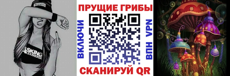 Псилоцибиновые грибы GOLDEN TEACHER  Купить  Пыть-Ях 